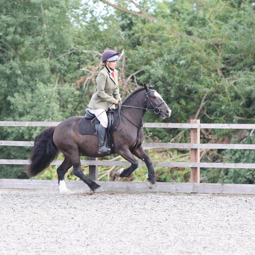 🍂🍁 VWH Autumn Fun Ride & Carriage Drive 🍁🍂 Saturday 10th & Sunday 11th ...