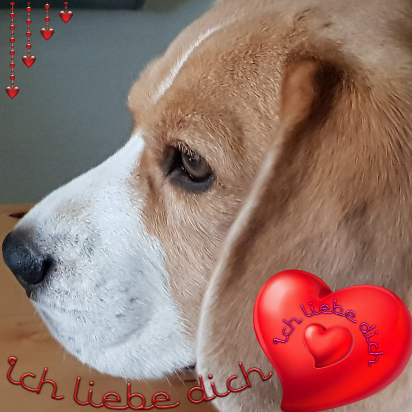WIR WOLLEN KEINEN TOD MEHR AUF STAATSKOSTEN! 🙏 Ein Tag, der Hoffnung ...