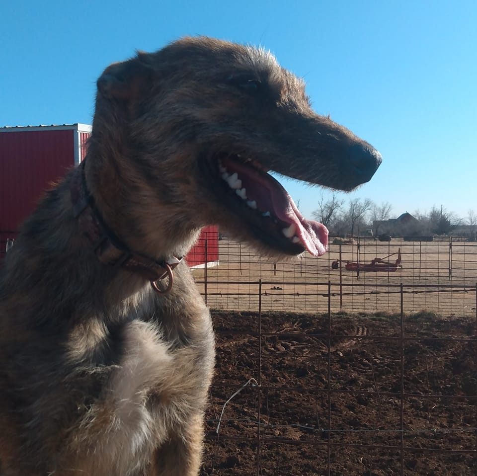 altus ok trading post | 1403 Scott St Altus, ok | Facebook