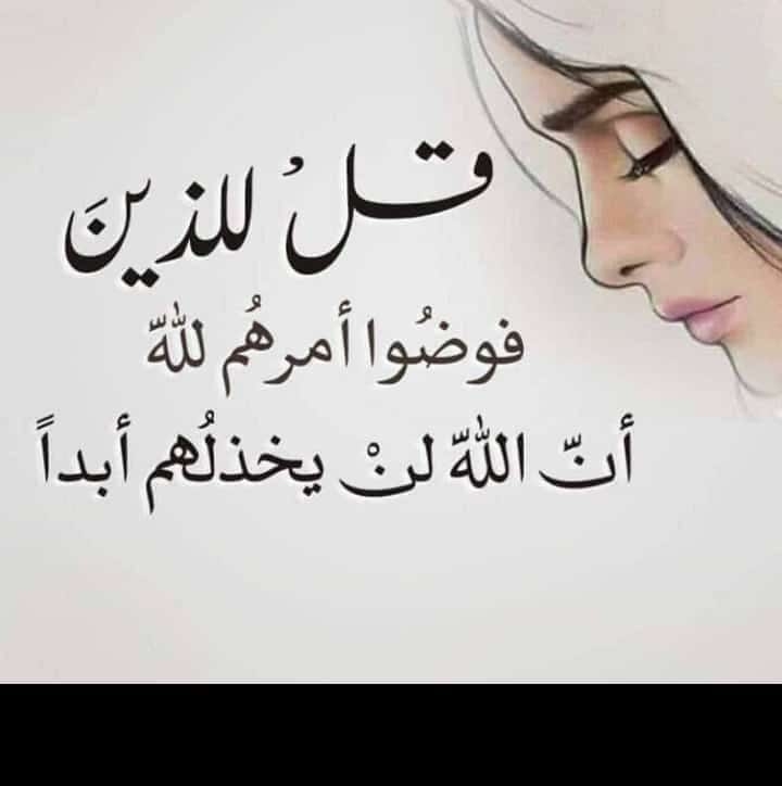 ابواب بف سي السعر 49كل لقيسات لقياس 100ب200سم 95ب200سم 90ب200سم 80ب200 ...