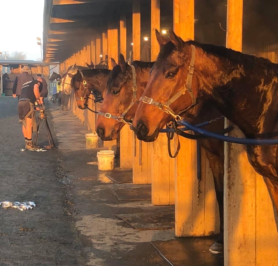 Bell Racing | Cambridge