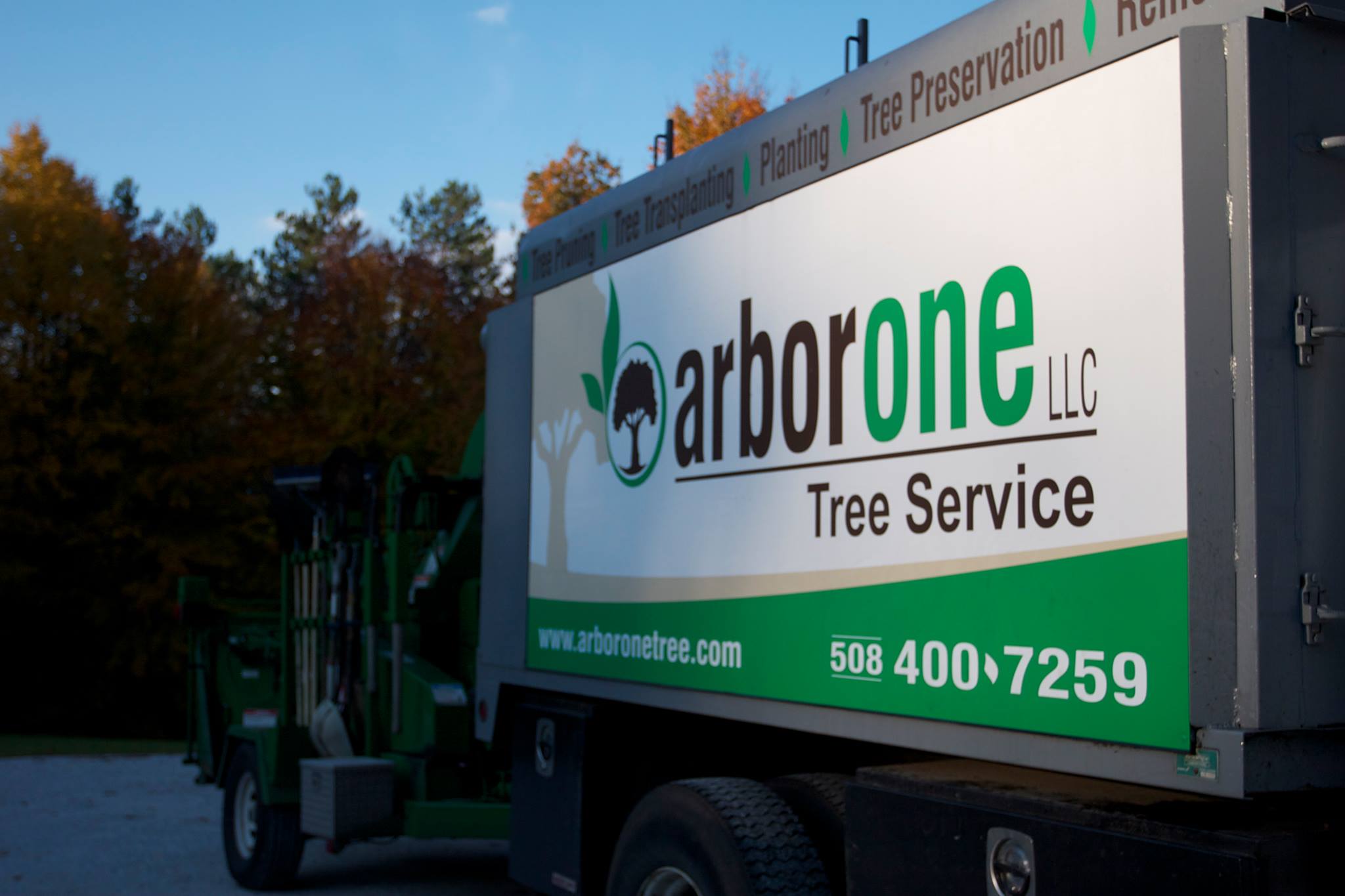 Arbor One Tree and Landscape | Milford MA