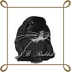 JB Rabbit ฟารม์กระต่ายเชียงใหม่ | Chiang Mai
