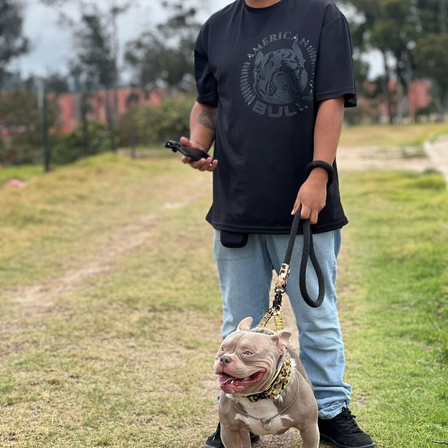 AMERICAN BULLY BOGOTA COLOMBIA | Buen día alguien que recomiende una ...