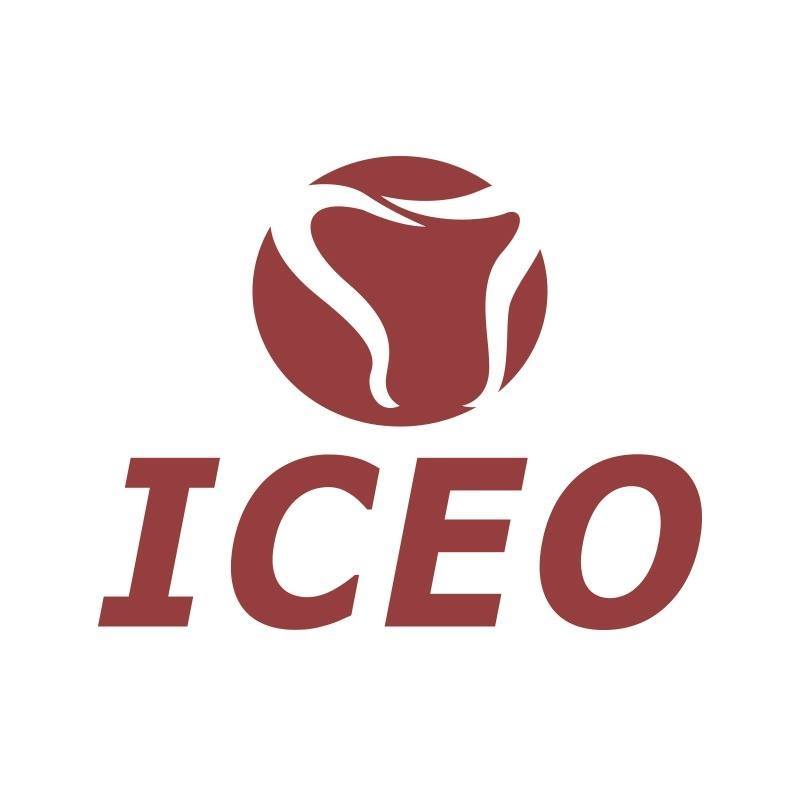 Iceo Ensino | Fortaleza CE