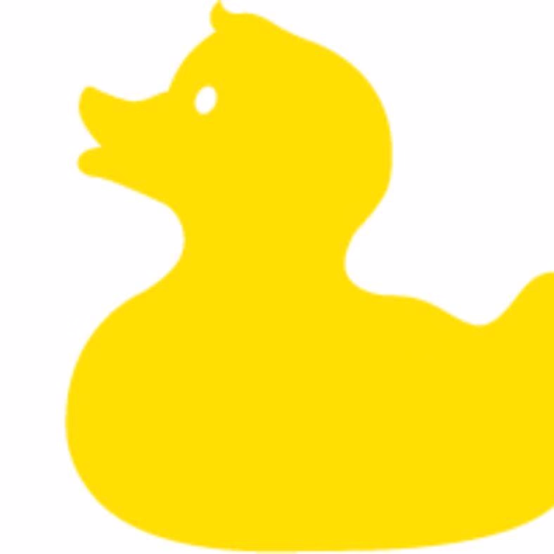 Wonderduck Agency | Budapest