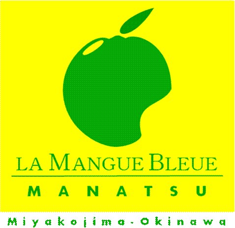 #宮古島 #ラマンゴーブルー #ミツバチ #暴風 | La Mangue Bleue