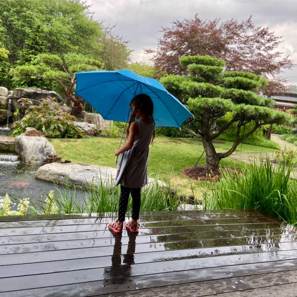 Rabkin Japanese Gardens | Tarentum PA