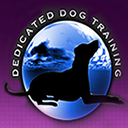 Dedicated Dog Training