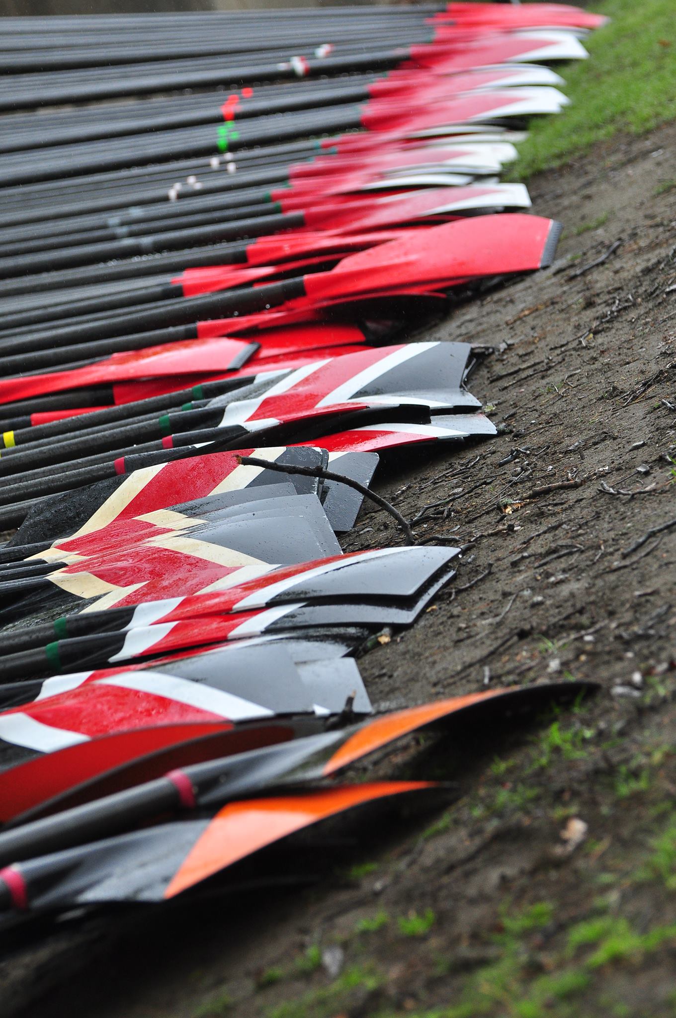 Northeastern Men's Rowing Parents
