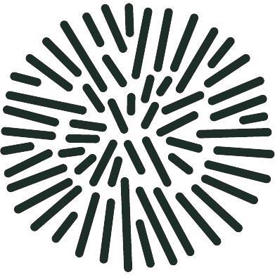 Solimer Algae-Effect Cosmetics | Kiel