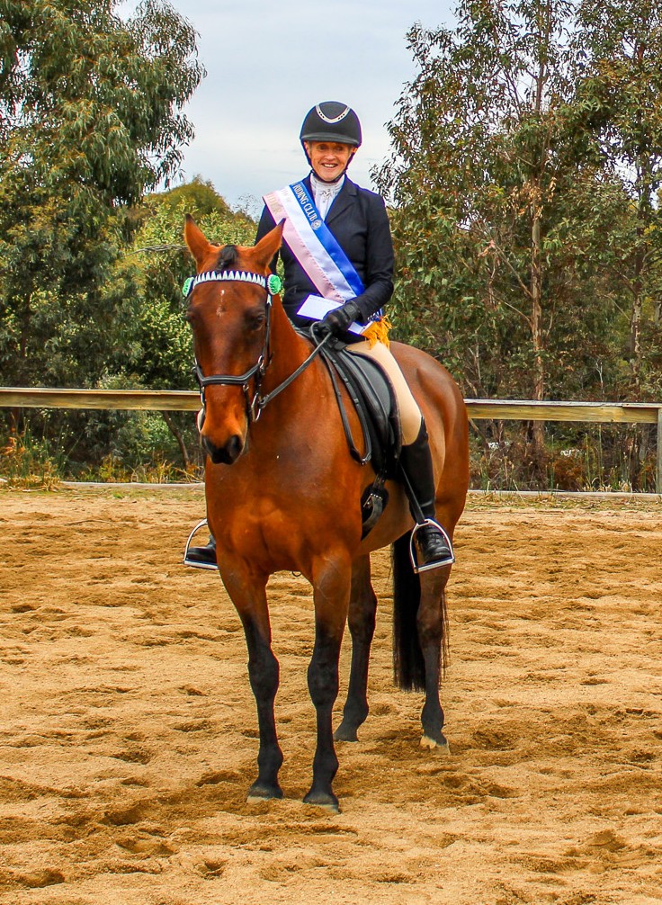 Equestrian - Introducing . . . Galloways These are some of the entrants ...