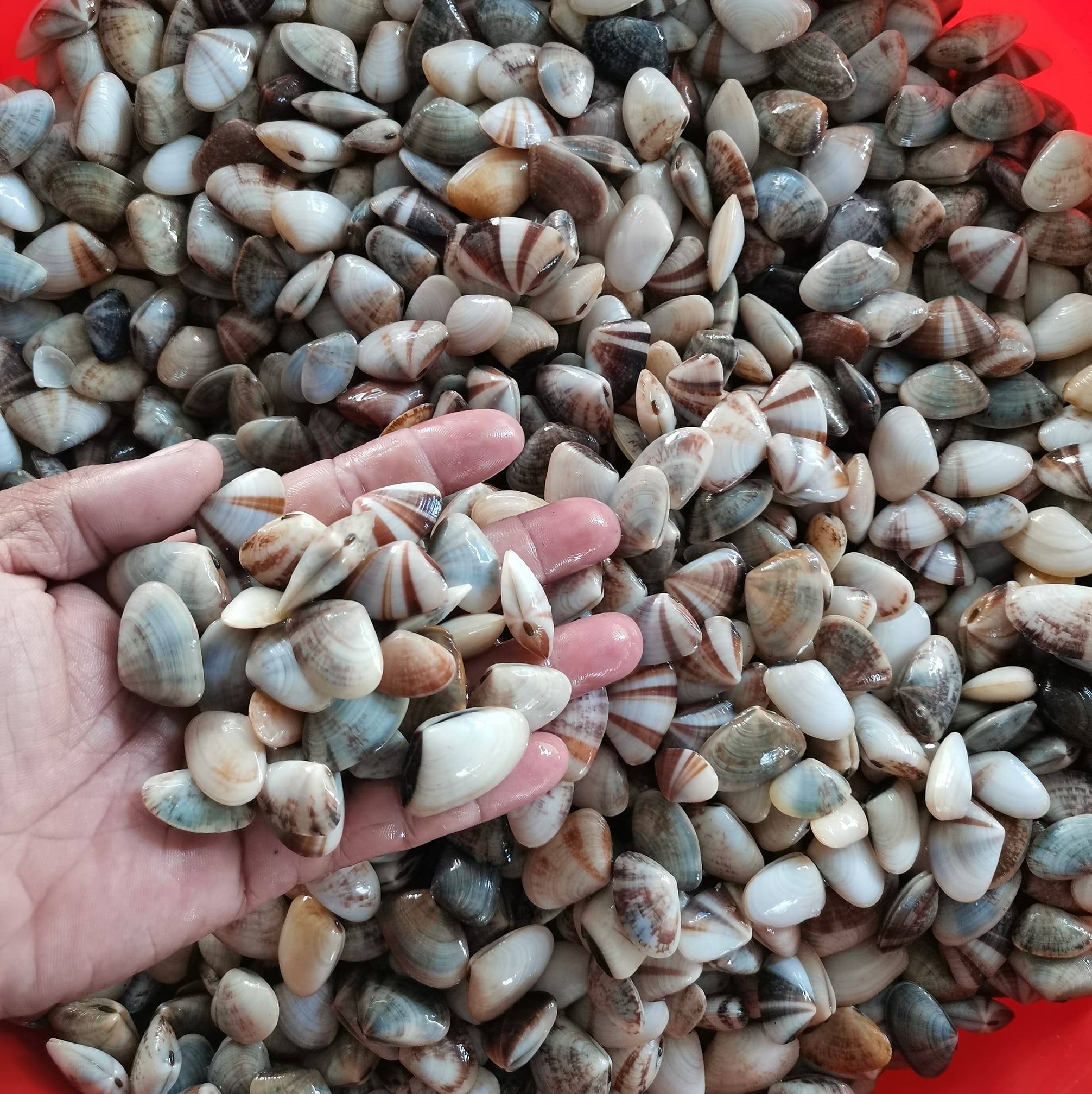 Kampong boy 海鲜土产