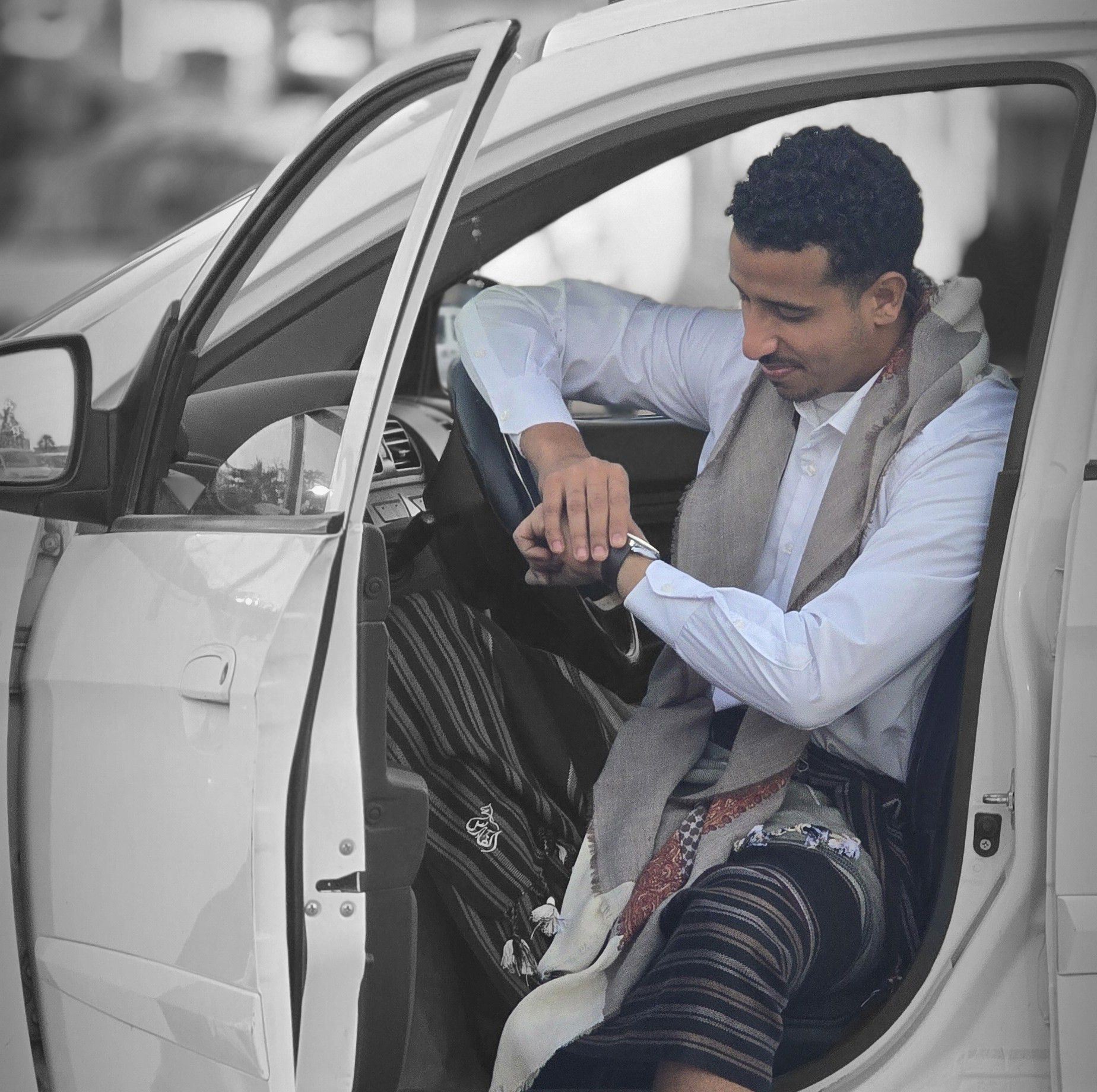 Alaa Roshdi Ali