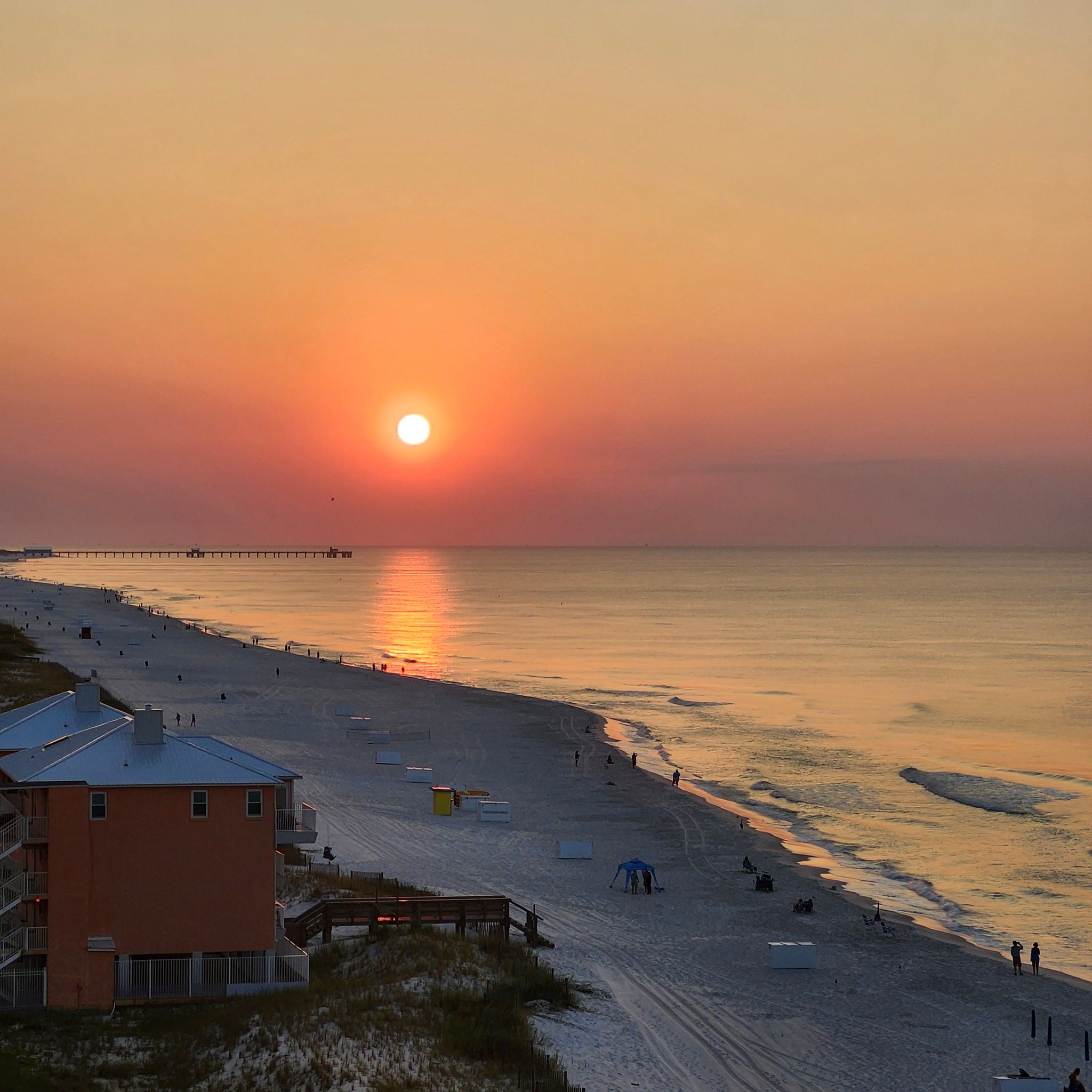 All Things Navarre Beach & Pensacola Beach Official | Flies are biting ...