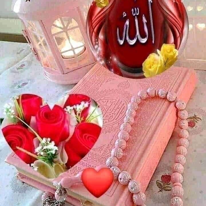 یہودی مسلمانوں پر کتنا ظلم کر رہے ہیں، کتنی سختیاں جھیل رہے ہیں، ان کے ...
