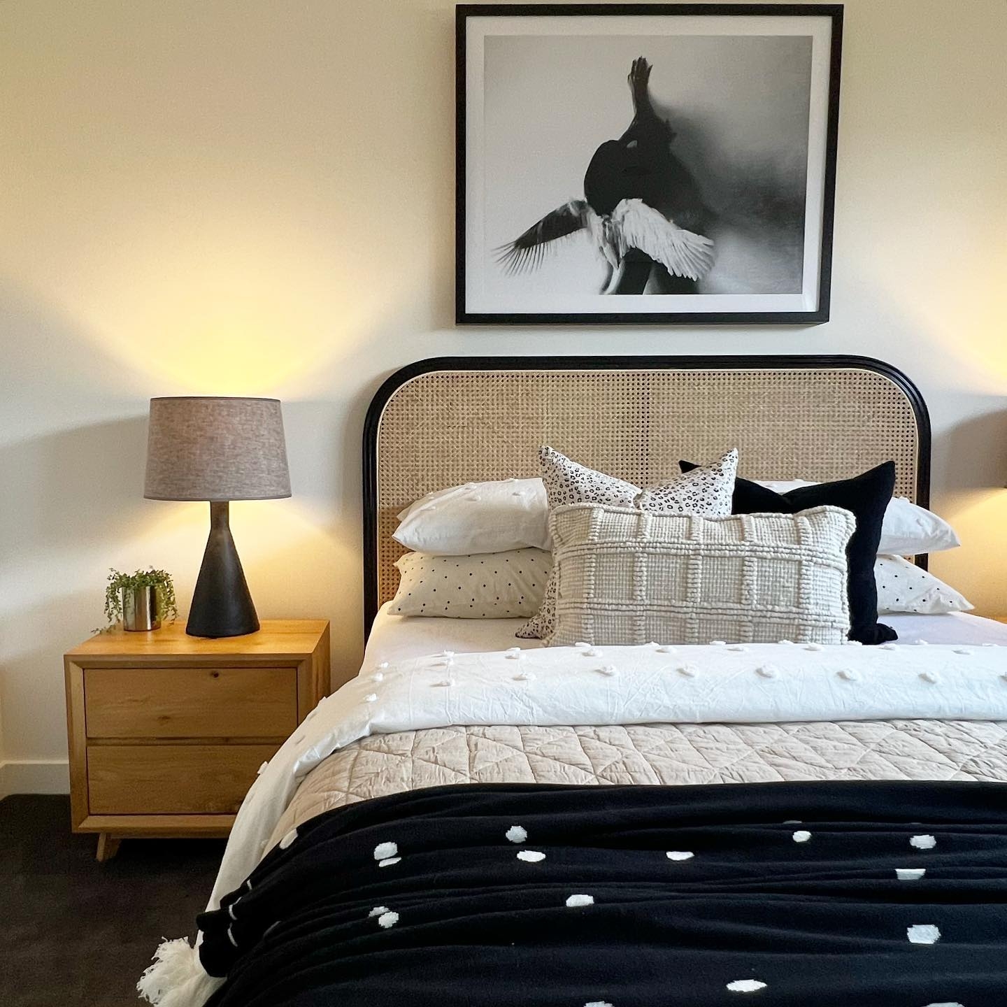 Colour Pop Interior Design