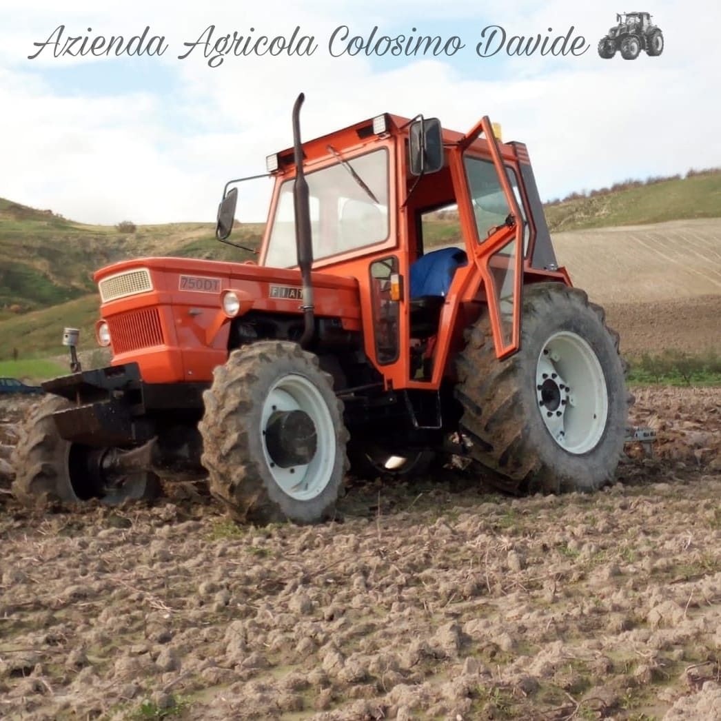 Azienda Agricola Colosimo Davide | Cropani