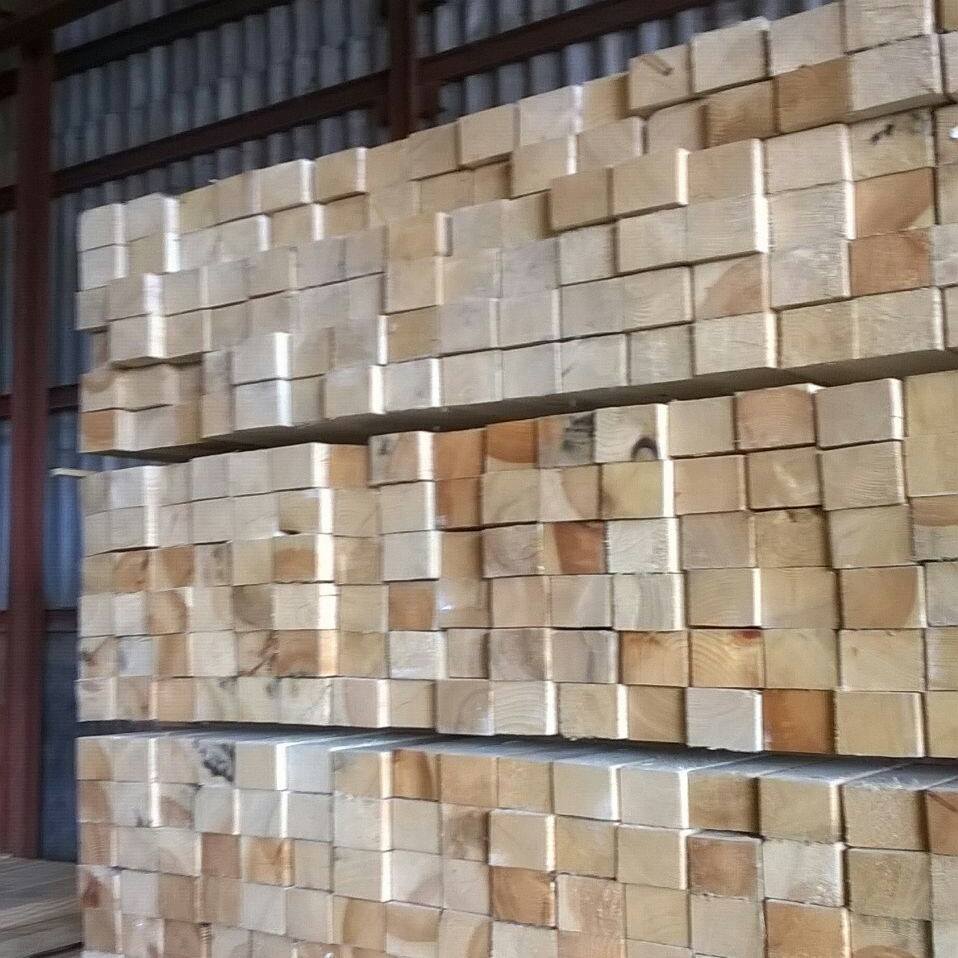 Gujarat Timber