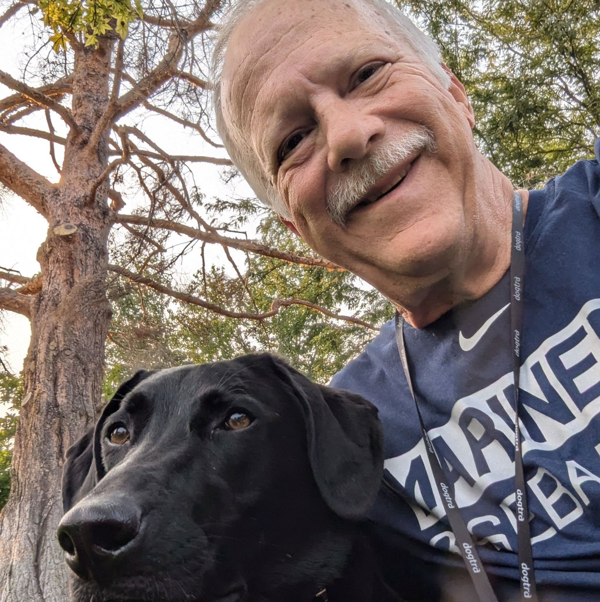 ️ The ultimate resource to build service-dog-level discipline — without ...