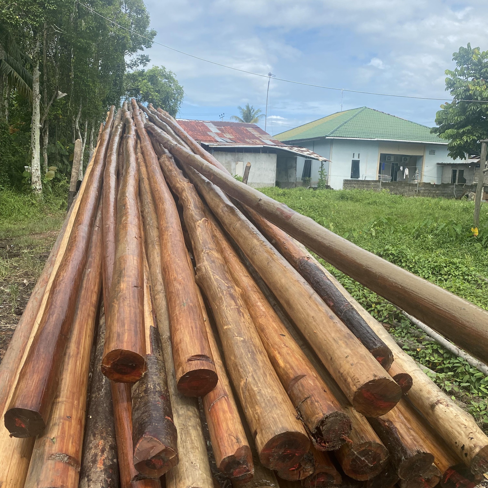 Kalimantan barat dagang | Menjual crucuk 8 dan 12 meter lokal dan ...