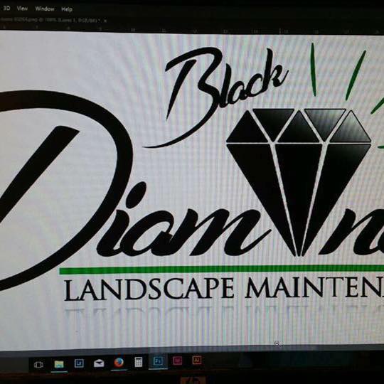 Black Diamond Landscape Cornelius OR
