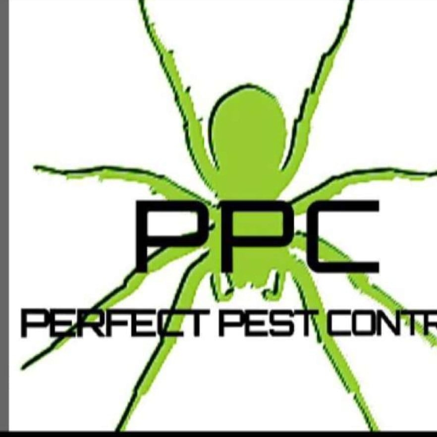 Perfect Pest Control | The Rocks NSW