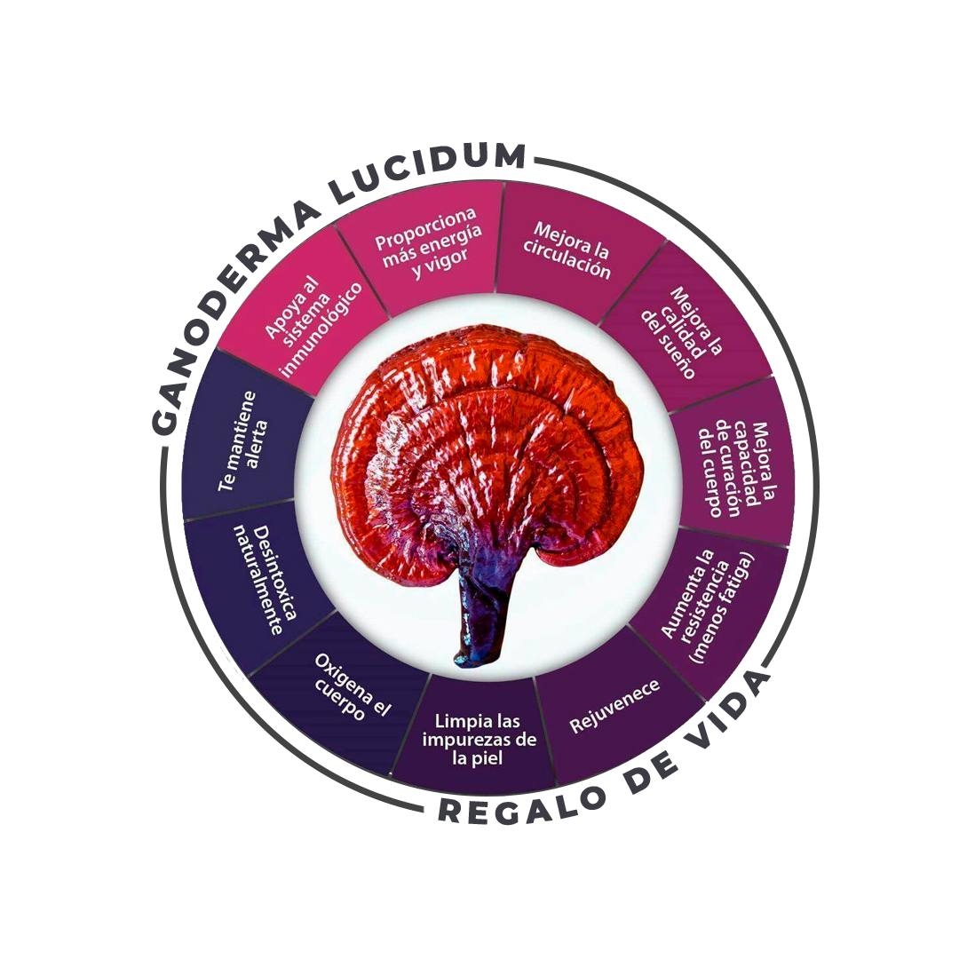 DXN GANODERMA MONTERREY