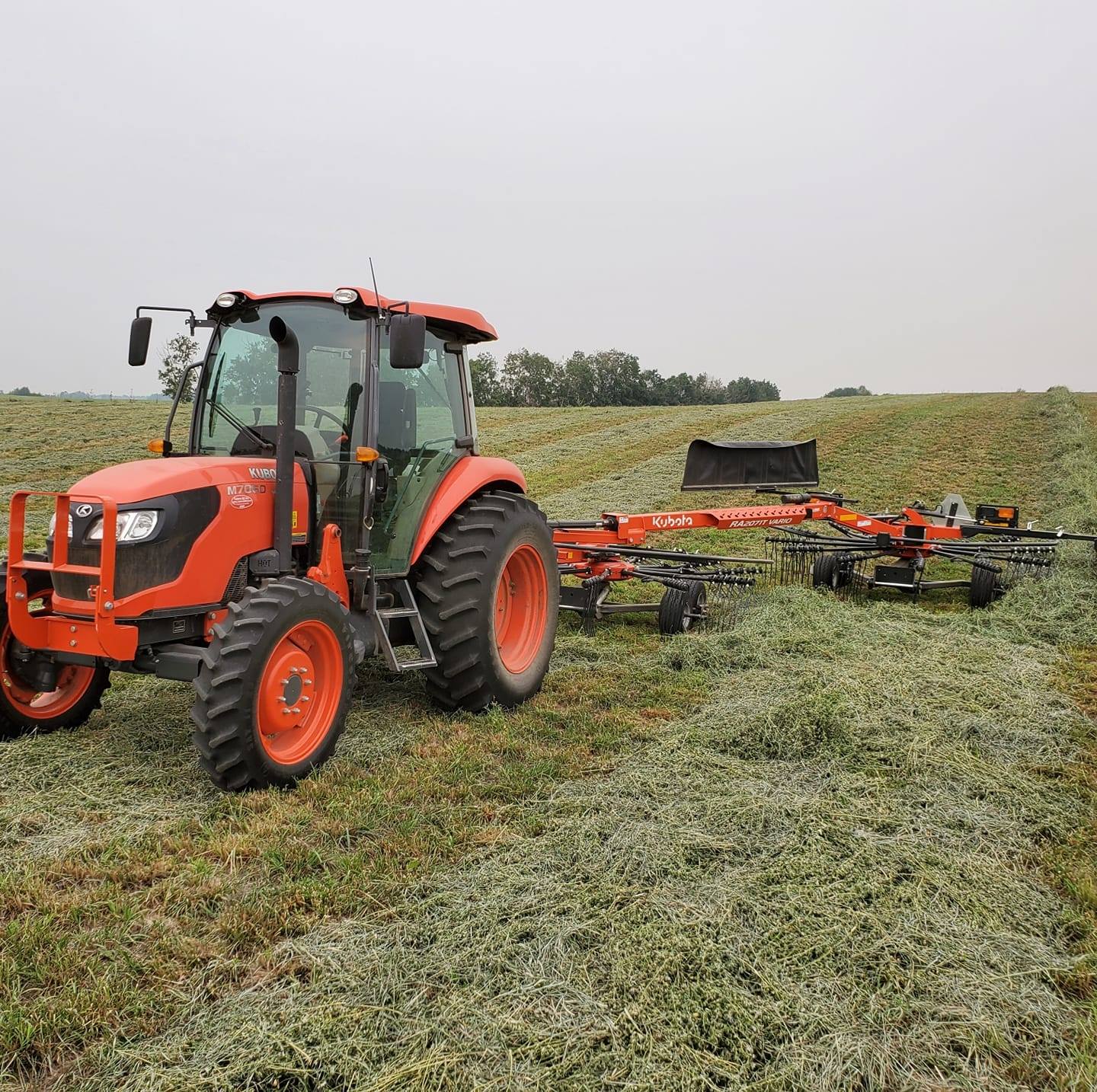 The Hay Patch | I need help from an expert | Facebook