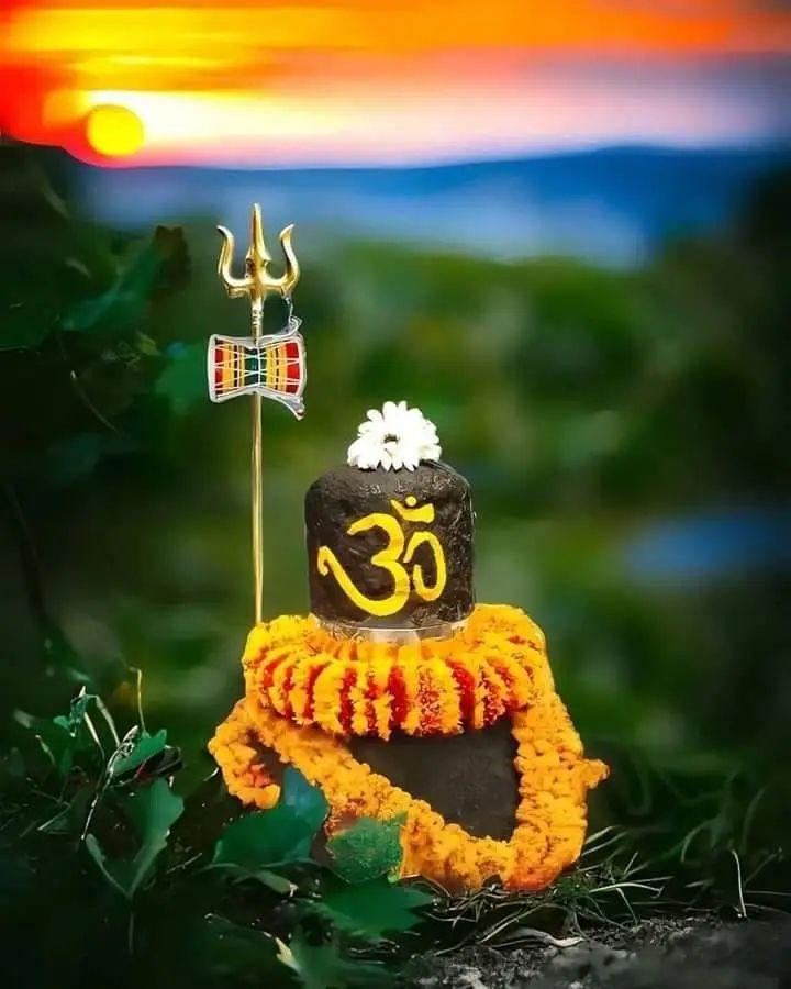 Hridoy Raj