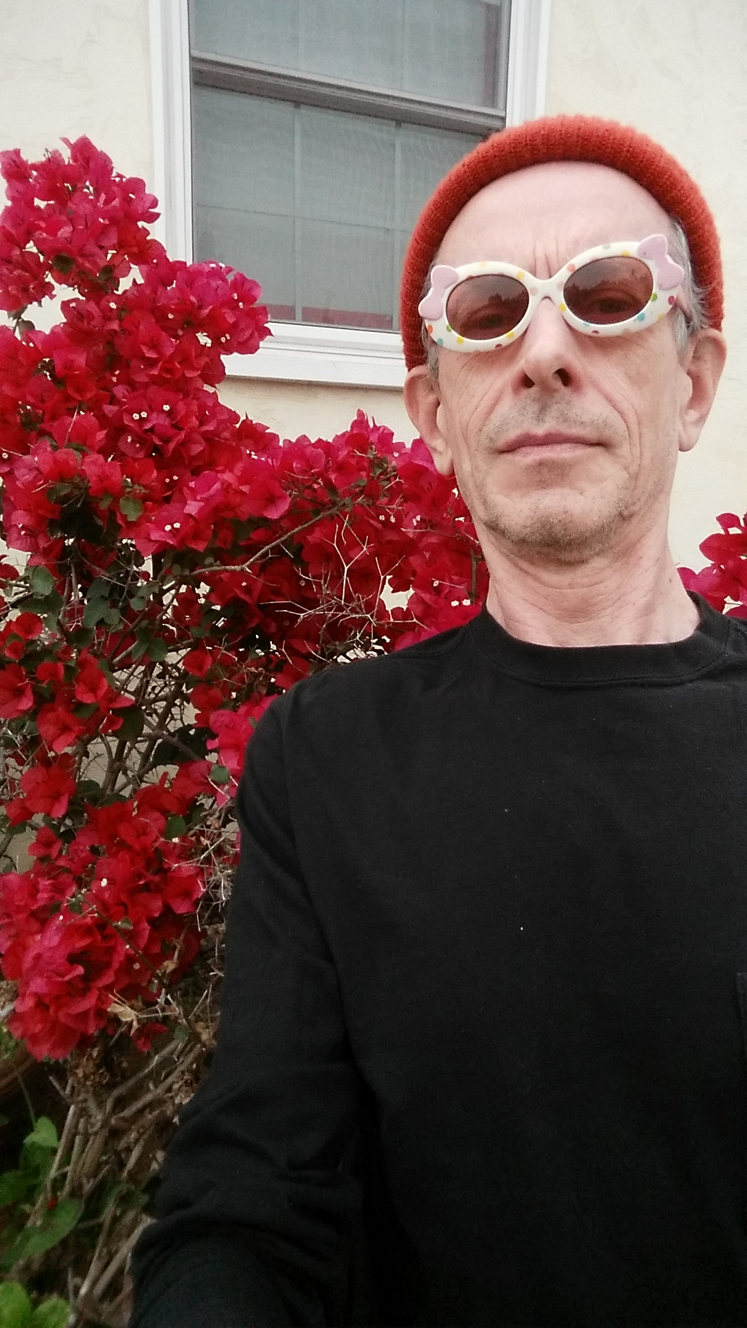 David Gowler