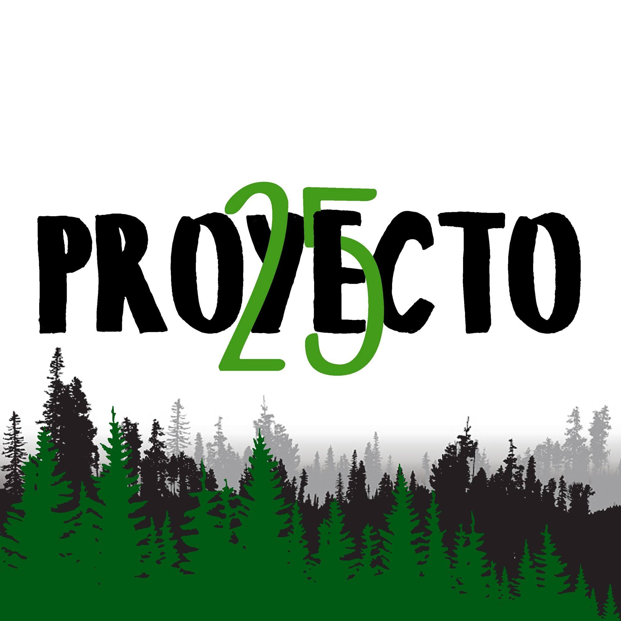 Proyecto 25