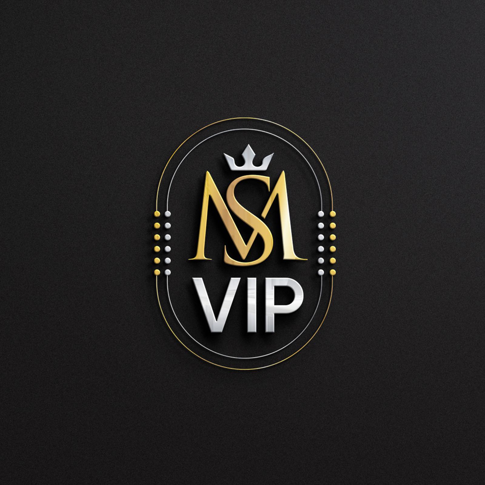 Ms Vip Taxi & Limousine | Brussels