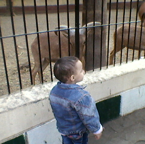 Khattab - 