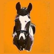 Profile for Wanda the Flying Cow Pony