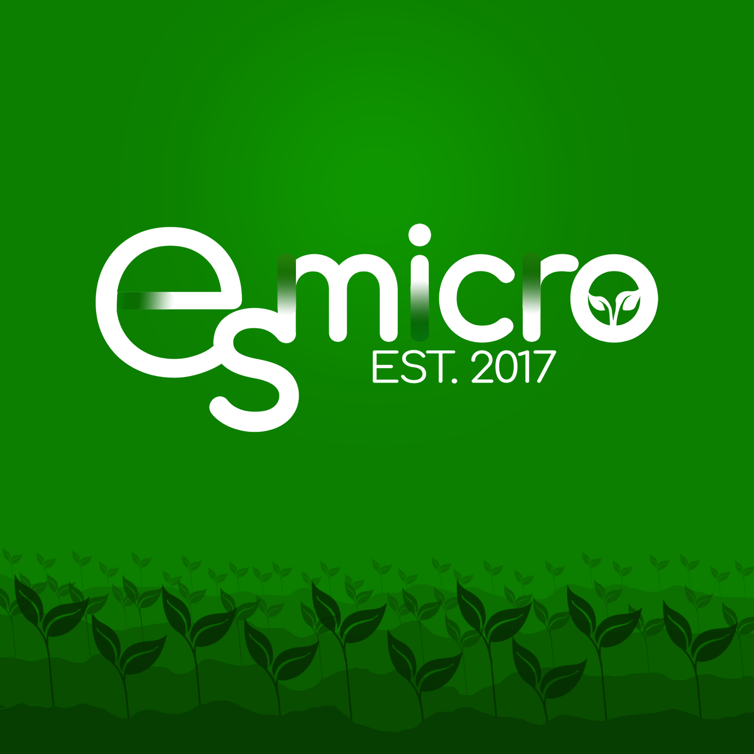 Es Micro | Moca