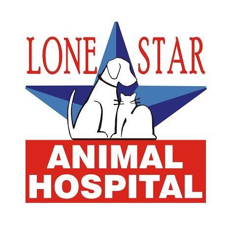 Lone Star Animal Hospital | Victoria TX
