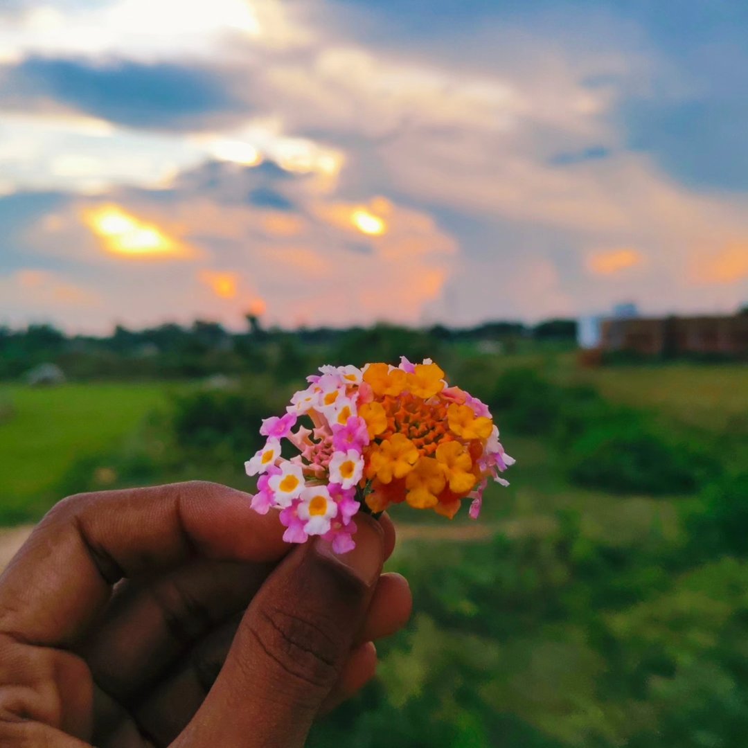 Manish Raj