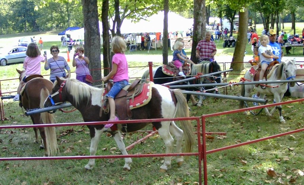 Pony Ride Ponies