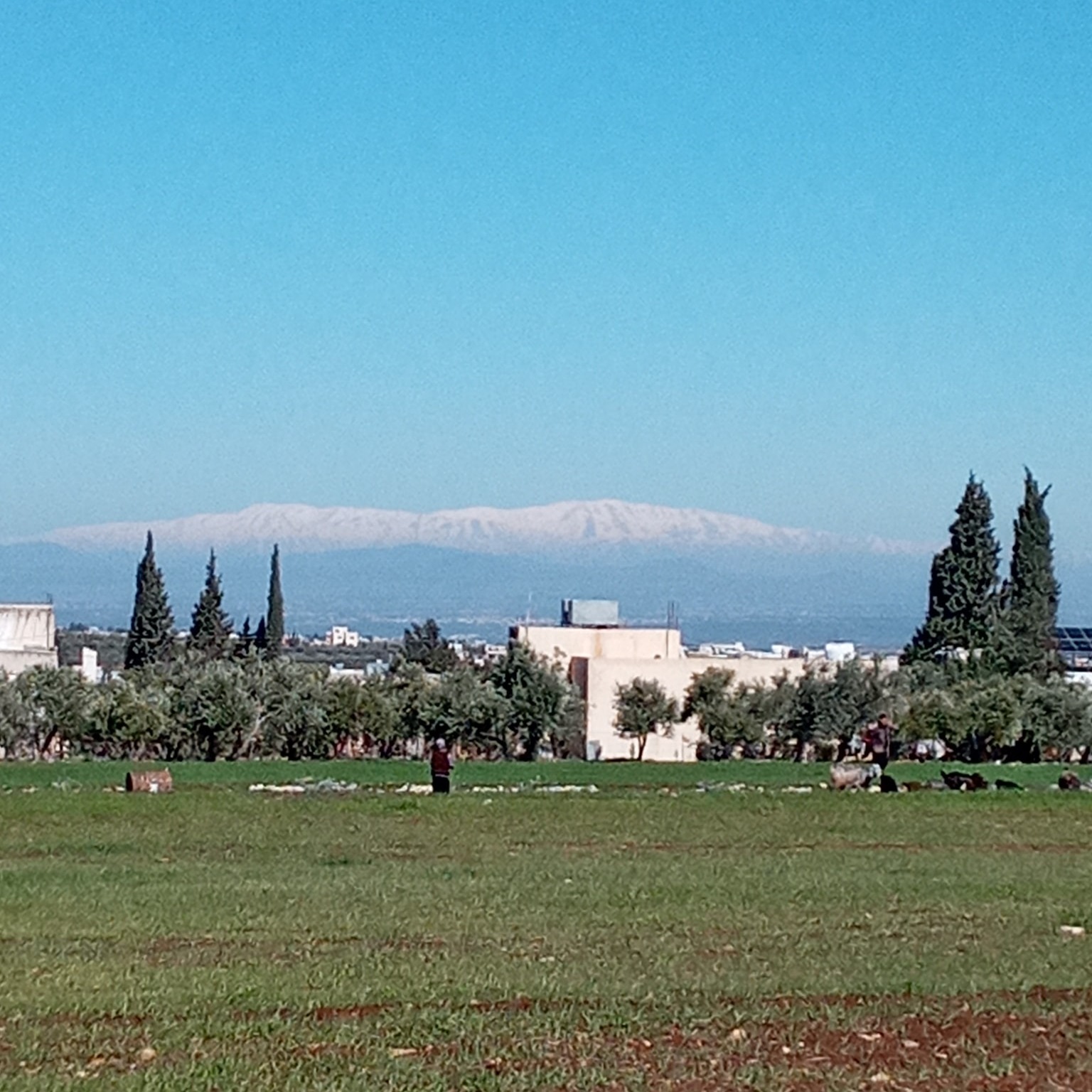 صور من قرية مرو اربد