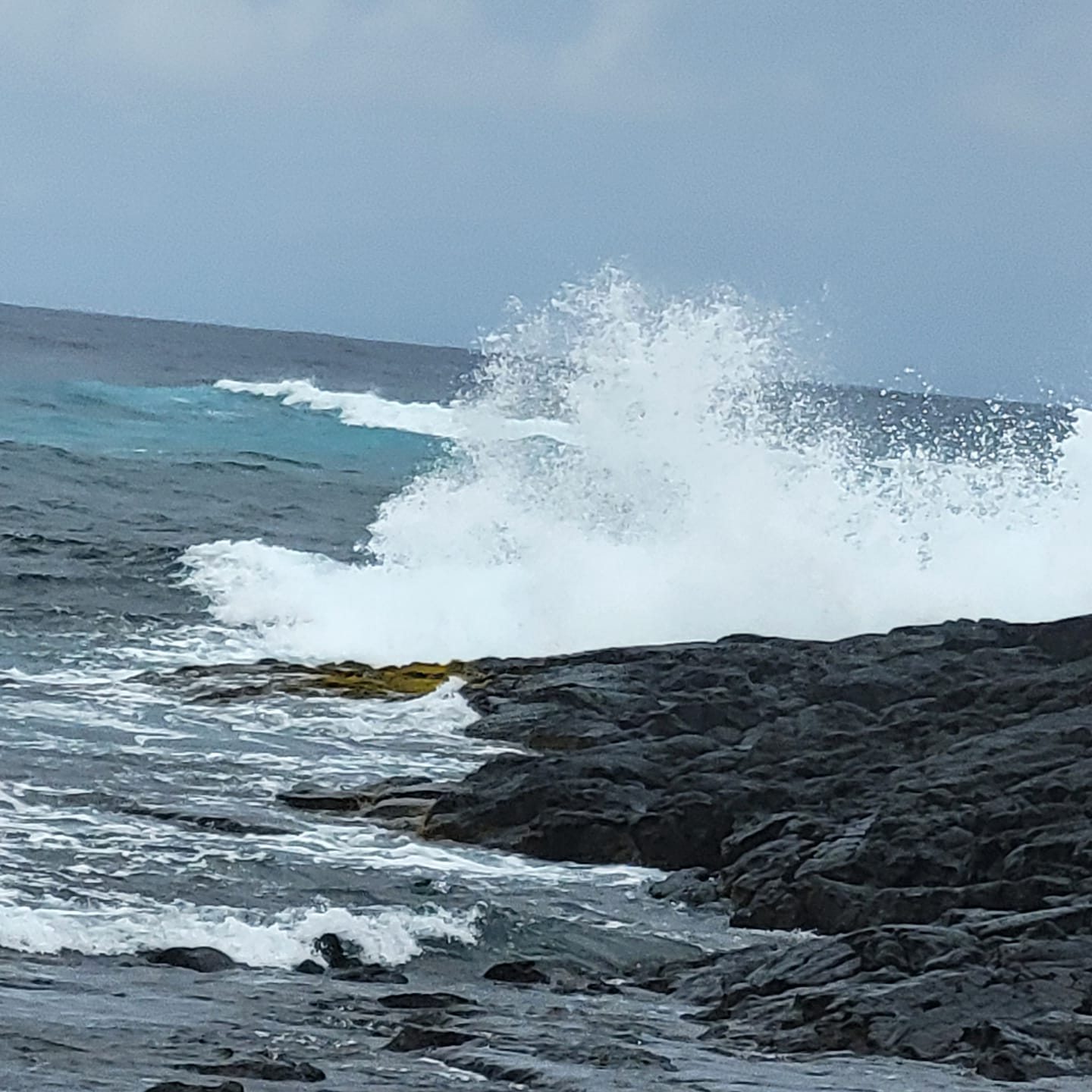 Big Island Police believe deadly shooting in Ocean View was justified ...
