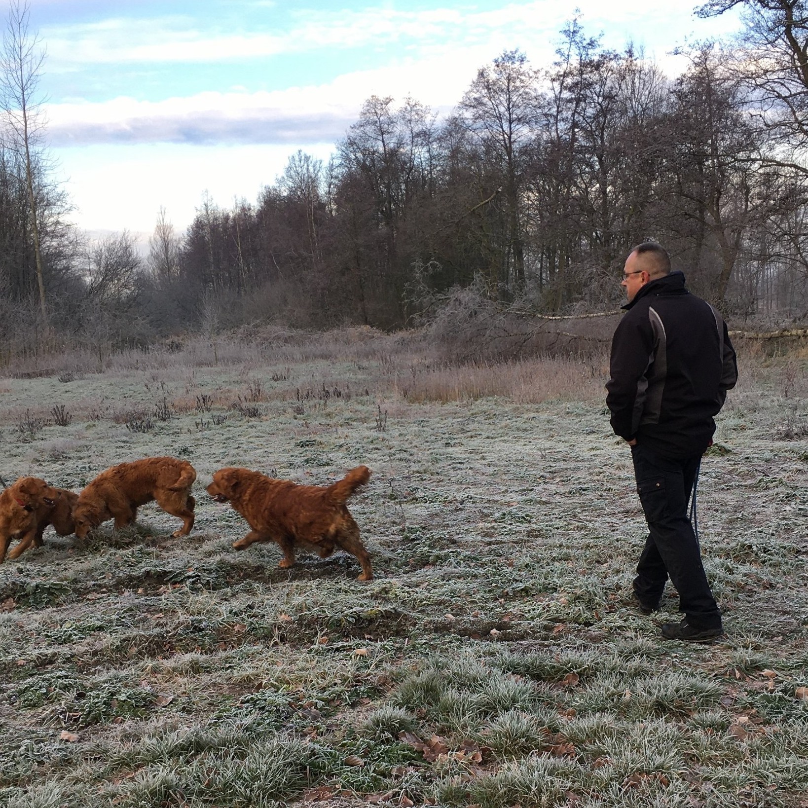 Redheaded - Golden Retrievers come in more than just “golden”! One of ...