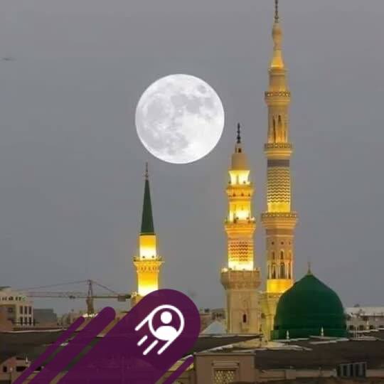 Musrefa Mala