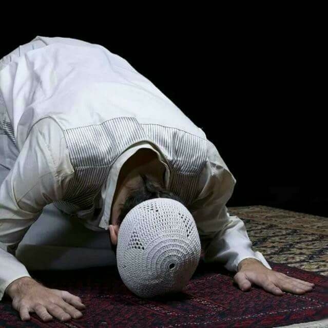 ساجد لله