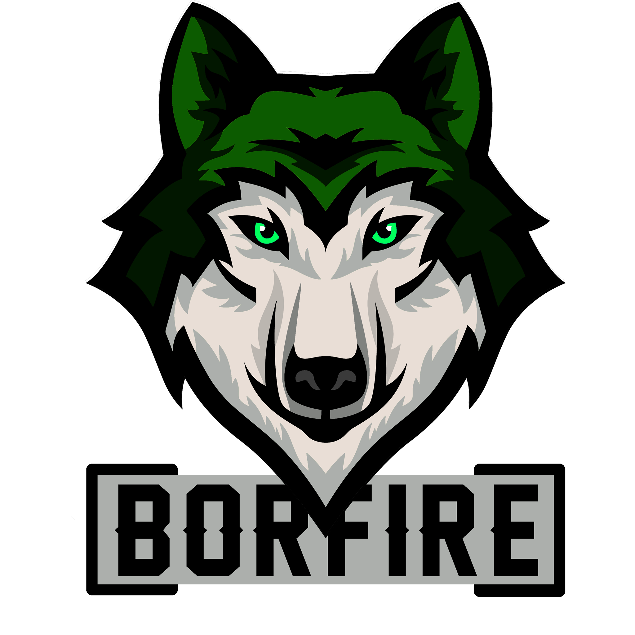 Borfire.Gaming