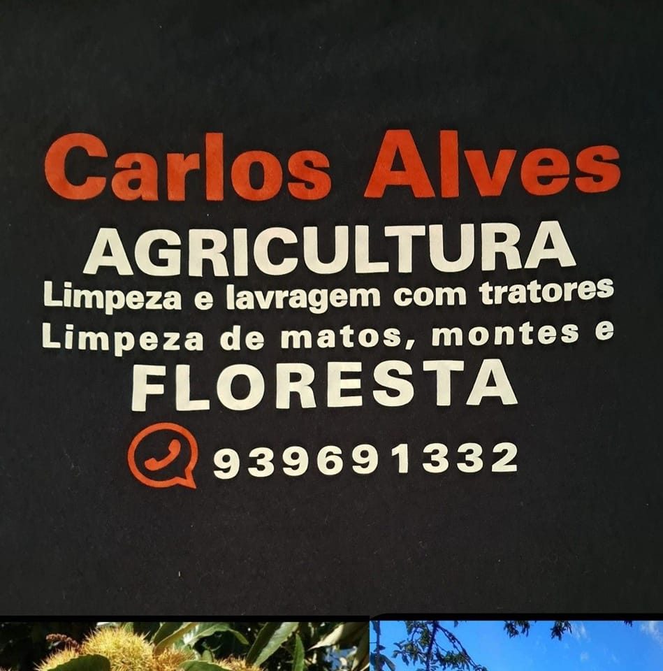 Agricultura e Florestas LDA on Reels