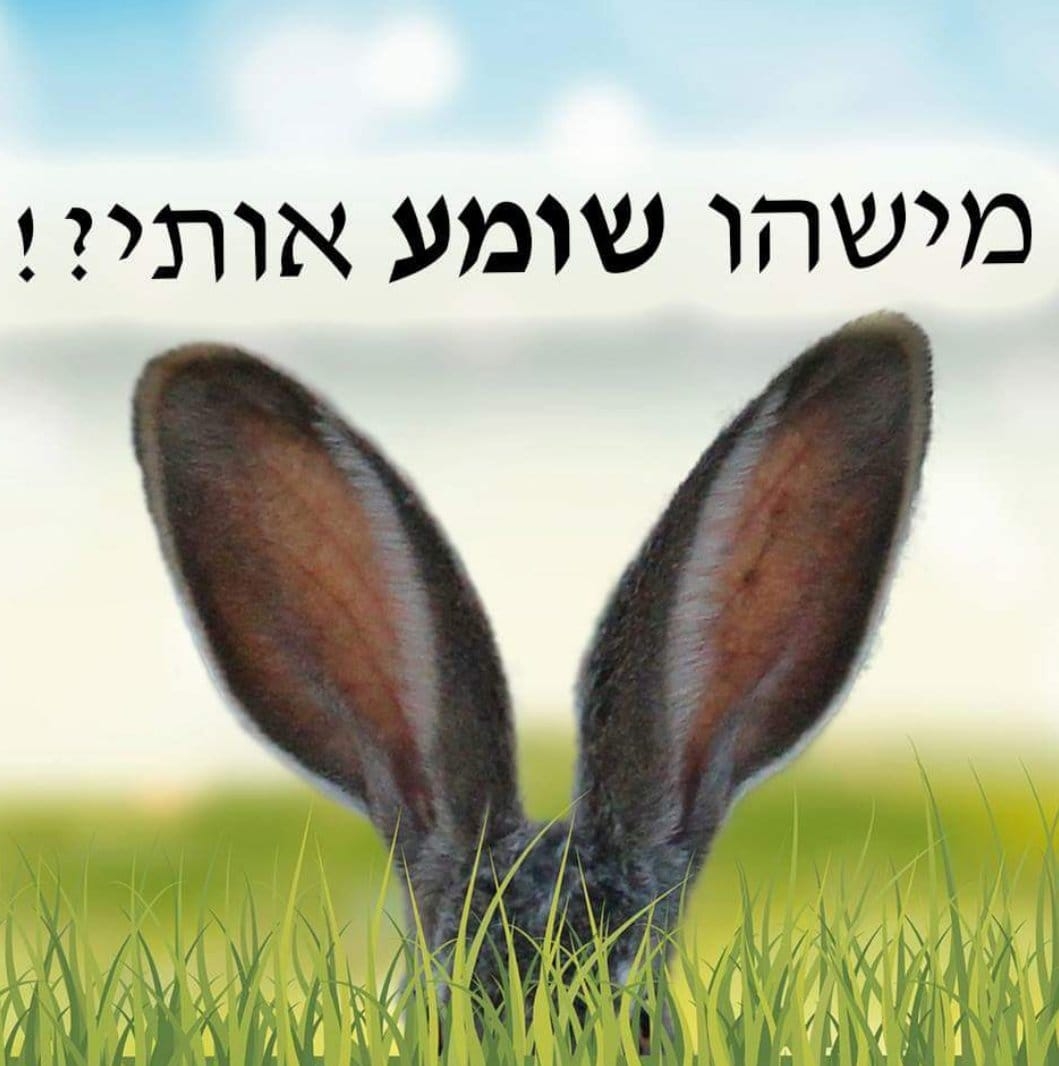 מישהו שומע אותי?