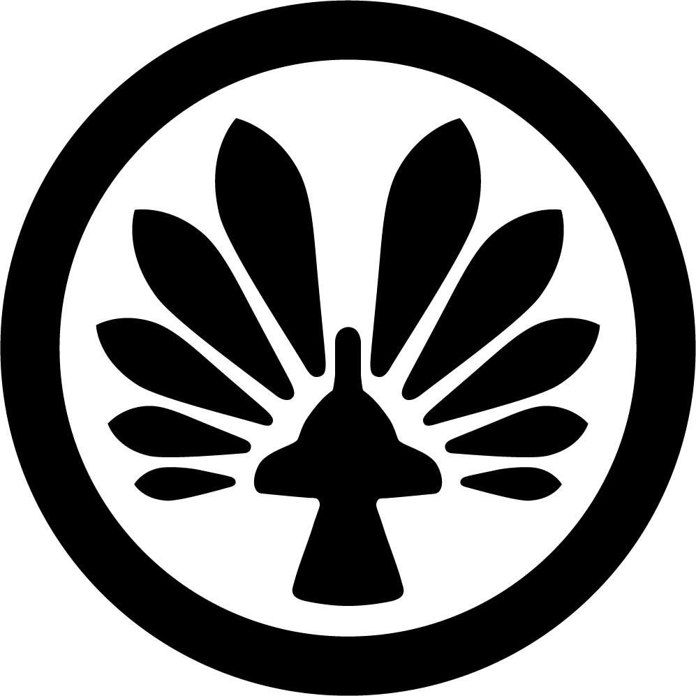 Chaussures Oliver CX Pro-10 Pour Squash, Badminton, Handball - Légères, Amorties, Semelle Grip Tige Respirante