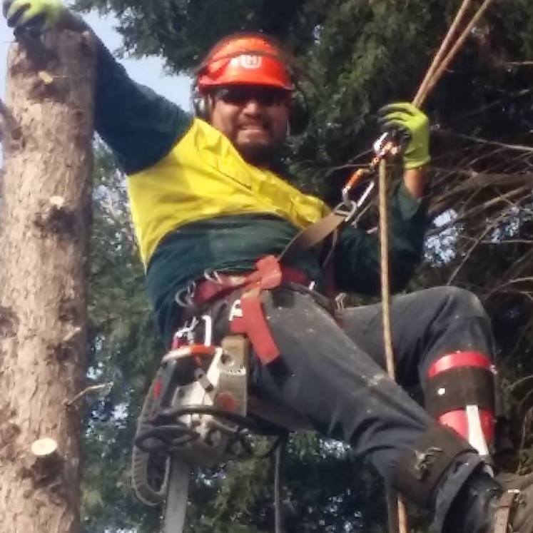 Josh & Jay Tree Services | Mernda VIC