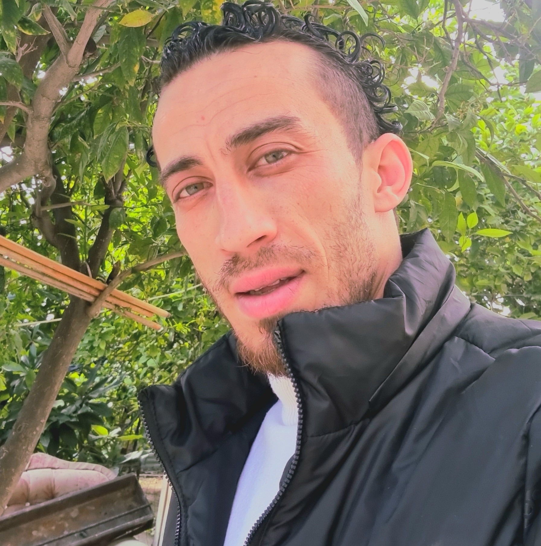 عطا الواوي